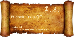 Pucsek Anikó névjegykártya